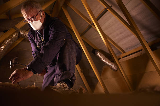 Best Specialty Insulation in Chester, WV